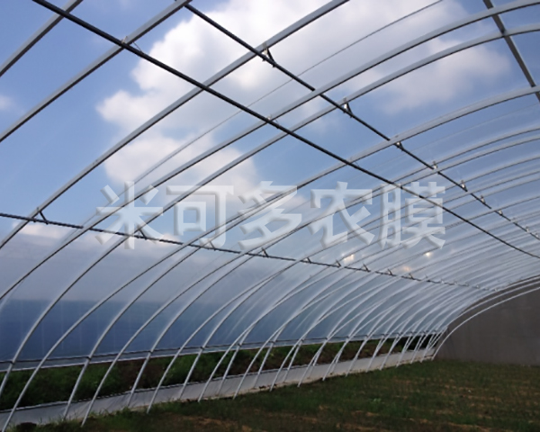 米可多暖寶涂覆膜